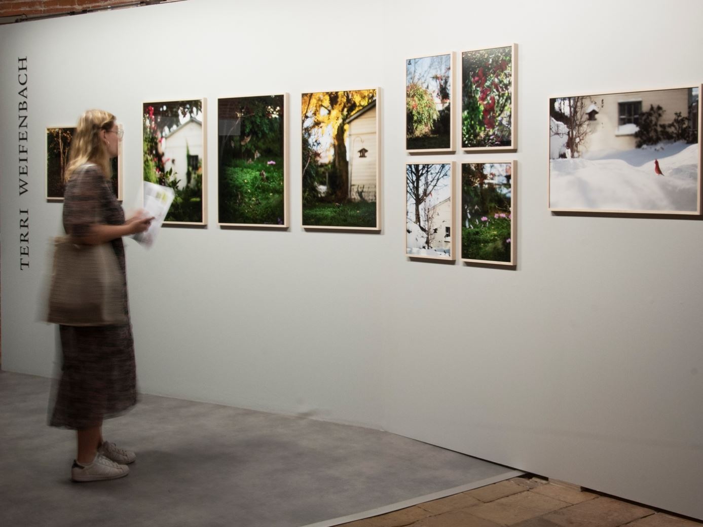 Vue d'une cimaise d'exposition au sous-sol avec du public pendant l'exposition "Des oiseaux"