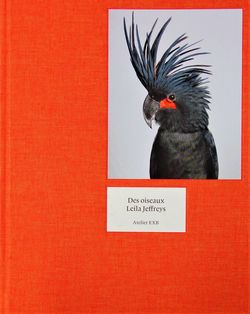 Livre de Leila Jeffreys, Des oiseaux, EXB, 2019 