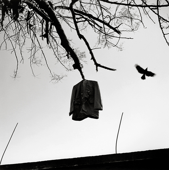Veste noire accrochée à une branche avec oiseau volant à côté