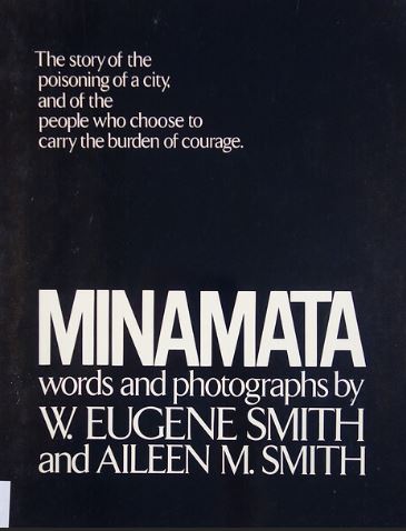 Couverture du livre Minamata
