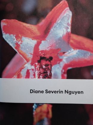 Couverture du livre de Diane Severin Nguyen