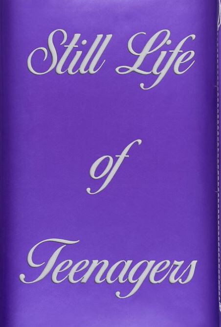 Couverture du livre Still Life of teenagers