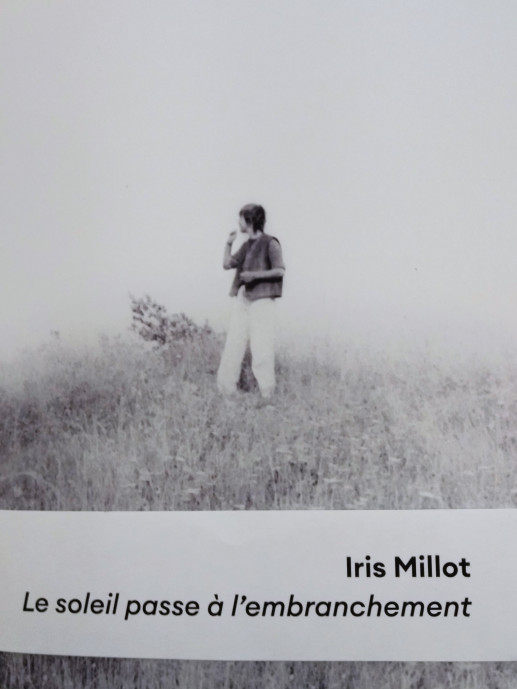 couverture livre Iris-Millot-le-soleil-passe-a-l'embranchement