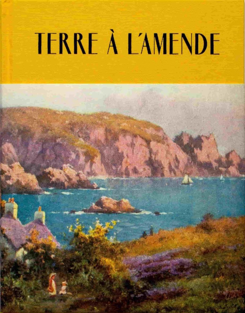 couverture du livre de Mark Power terre à l'amende