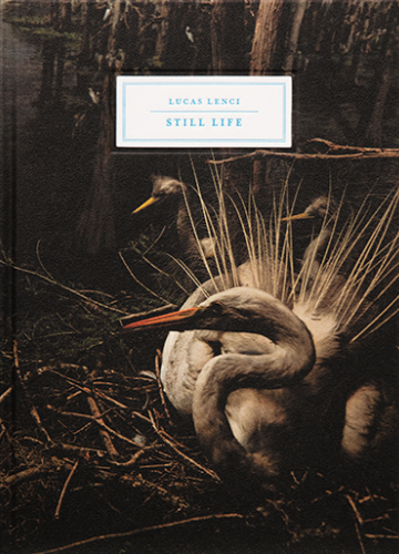 couverture du livre de Lucas Lenci Still Life