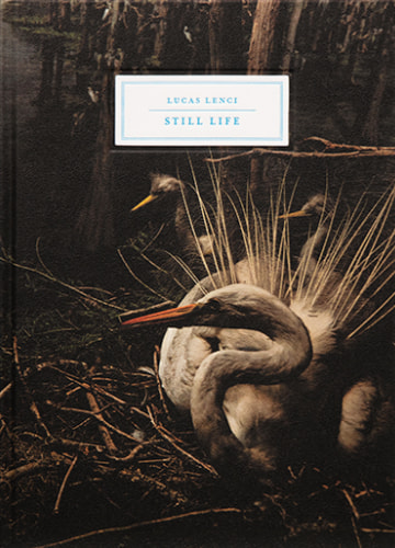 couverture du livre de Lucas Lenci, Still Life